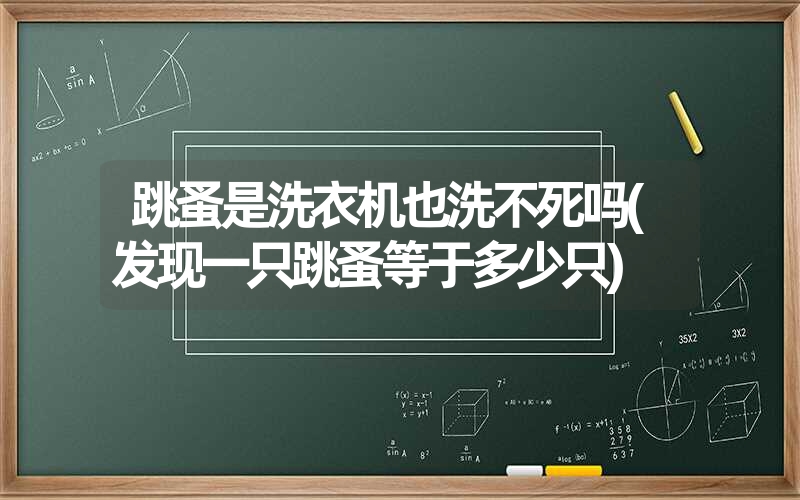 跳蚤是洗衣机也洗不死吗(发现一只跳蚤等于多少只)