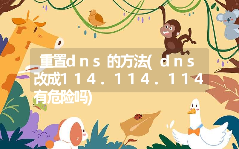 重置dns的方法(dns改成114.114.114有危险吗)