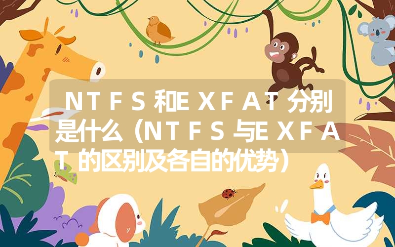 <font color='1677721'>NTFS和EXFAT分别是什么（NTFS与EXFAT的区别及各自的优势）</font>