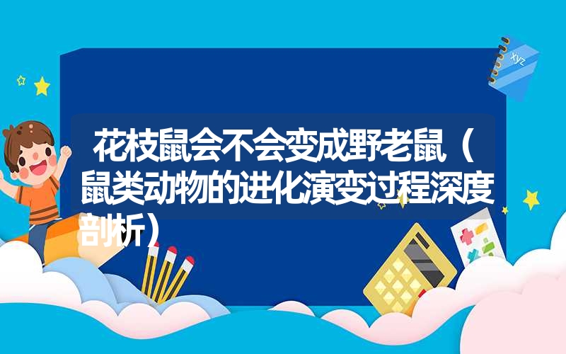 花枝鼠会不会变成野老鼠（鼠类动物的进化演变过程深度剖析）