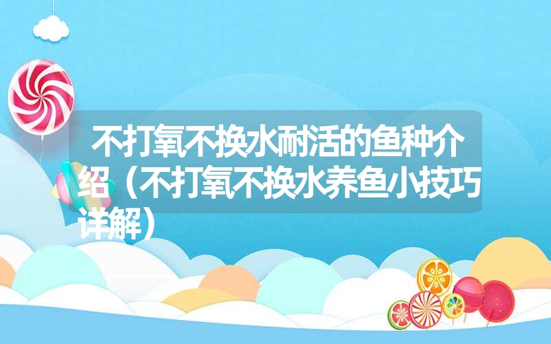 不打氧不换水耐活的鱼种介绍（不打氧不换水养鱼小技巧详解）