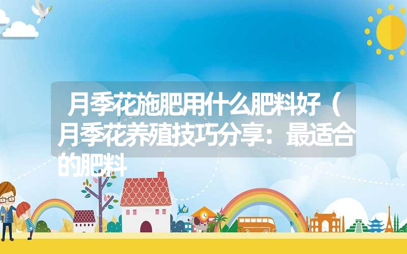 <font color='1677721'>月季花施肥用什么肥料好（月季花养殖技巧分享：最适合的肥料</font>