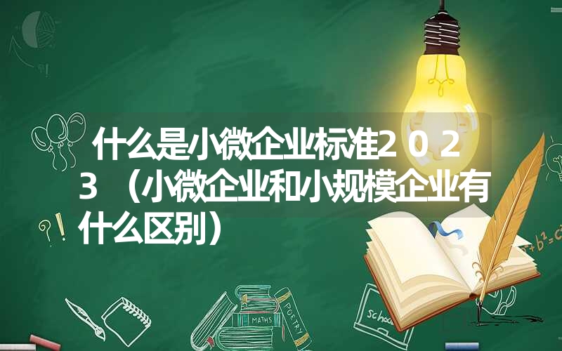 什么是小微企业标准2023（小微企业和小规模企业有什么区别）