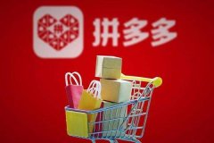 <b>拼多多店铺名称怎么起好听（拼多多店铺起名方法分享）</b>